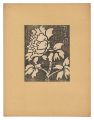 <strong>Tsukamoto Tetsu</strong><br>Peony