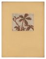 <strong>Maeda Masao</strong><br>Shirone Yaguruma