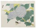 <strong>Tokuriki Tomikichiro</strong><br>Hydrangea (tentative title)