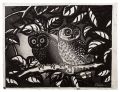 Two Owls