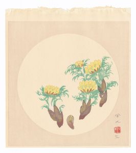 Fukujuso Plant / Kudo Kojin