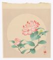 <strong>Kudo Kojin</strong><br>Camellia