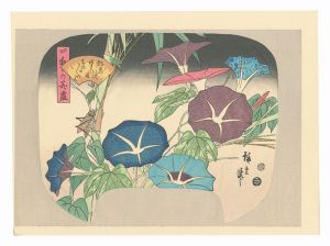 四季の花尽　朝顔【復刻版】　／　広重初代