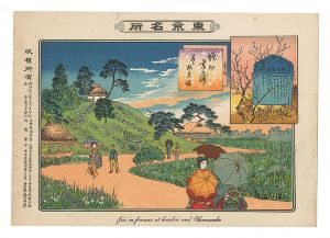 Famous Places in Tokyo / Iris at Horikiri and Umewaka-zuka / Toshimoto