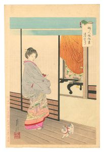 <strong>Gekko</strong><br>An Assortment of Women's Custo......