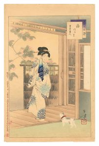 <strong>Toshikata</strong><br>Thirty-six Elegant Selections ......