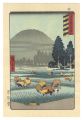 <strong>Hiroshige I</strong><br>Famous Places in the Sixty-odd......