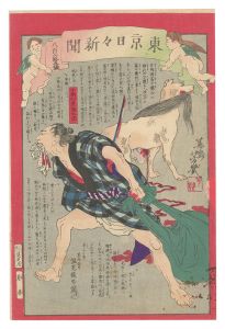 芳幾「東京日々新聞　865号」