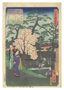 Views of Famous Places in Edo / Ushigozen / Hiroshige II