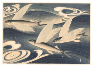 大日本魚類画集　第一輯ノ六 飛魚