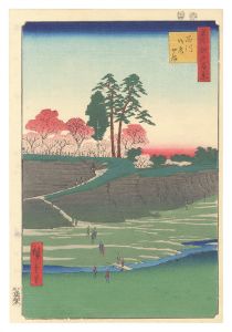 Hiroshige I / One Hundred Famous Views of Edo / Goten-yama, Shinagawa [名所江戸百景　品川御殿やま]