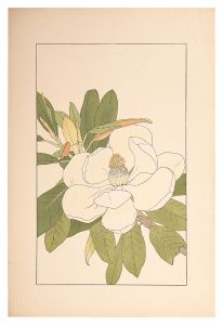 杉浦非水「大山木」