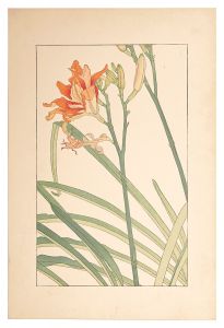 杉浦非水「藪菅草」