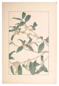 杉浦非水「木犀」