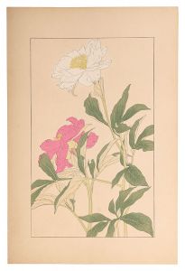 杉浦非水「芍薬」