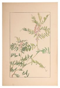 杉浦非水「草藤」