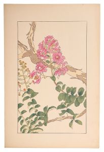 杉浦非水「百日紅」