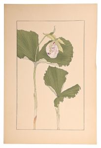 杉浦非水「熊谷草」
