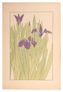 杉浦非水「燕子花」