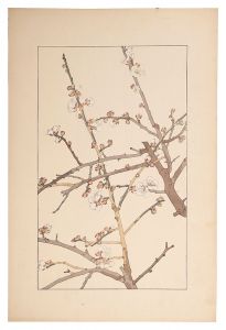 杉浦非水「梅」