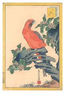 Forty-eight Hawks Drawn from Life / No. 10: Parakeet and Daphne odora / Sugakudo