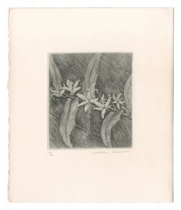 Toad Lily / Kimura Shigeru