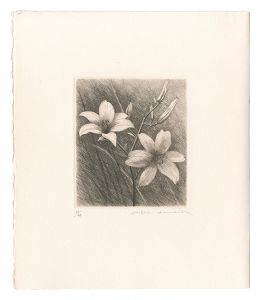 Orange Daylily / Kimura Shigeru