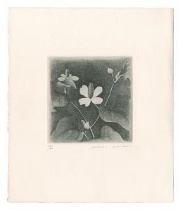 Fish Mint / Kimura Shigeru