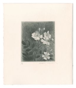 Japanese Rose / Kimura Shigeru