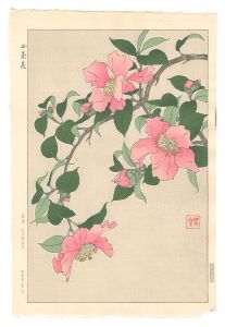 <strong>Kawarazaki Shodo</strong><br>Sasanqua