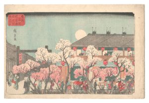 東都名所 新吉原仲の町夜ざくら / 広重初代