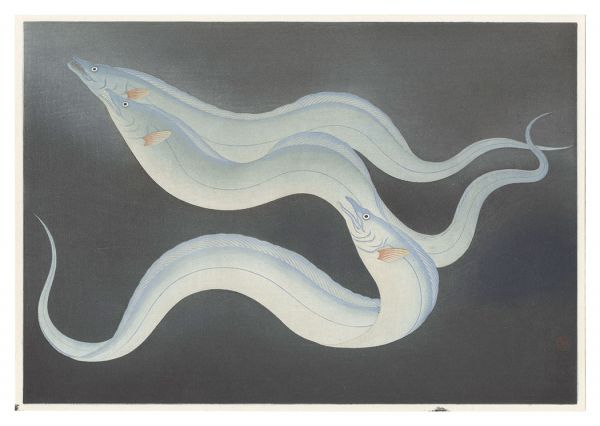 大野麥風「大日本魚類画集　タチウオ」