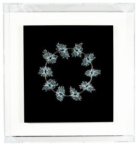 cycle 2021　／　久米圭子