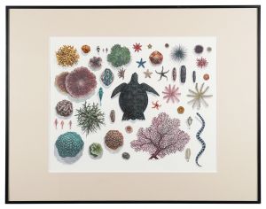 Jotaki Reiko / Collection Record