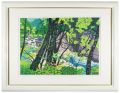 Shirakami Sanchi (Summer)