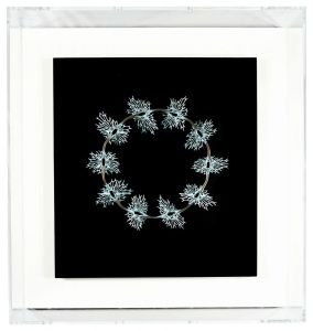 Kume Keiko / cycle 2021