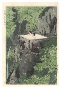 Shirahone Hotspring in Shinano / Kasamatsu Shiro