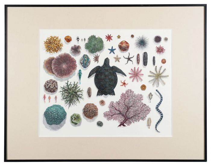 上滝玲子「採集記録」