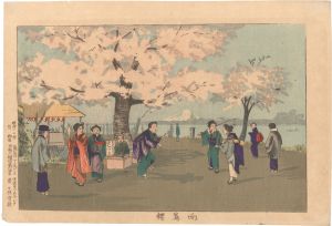 向島桜　／　清親