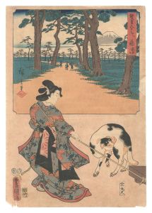 双筆五十三次　藤沢　／　広重初代 豊国三代