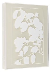 杉浦非水の眼と手 写生のイマジネーション