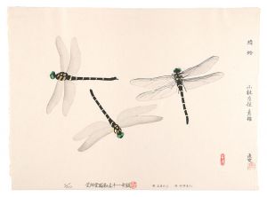 蜻蛉　／　小林古径