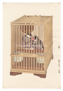 文鳥