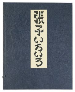 Serizawa Keisuke / Hariko iroiro