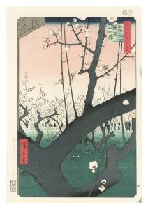<strong>Hiroshige</strong><br>One Hundred Famous Views of Ed......