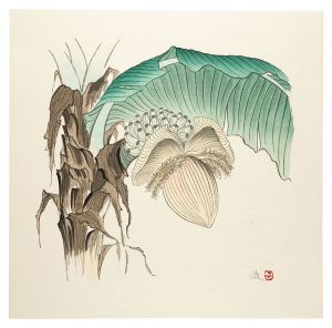 Banana / Maki Susumu