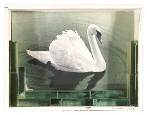 勝本みつる「a field,a home / 白鳥 Ⅰ」