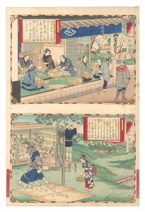 Famous Products of Japan / Tajima Province: Making Yanagi-gori; Wild Silkworm Cultivation / Hiroshige III