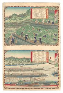 Famous Products of Japan / Kii Province: Mikan Mountain Fields; Shipping Mikan from the North Port / Hiroshige III