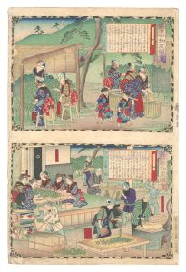 Famous Products of Japan / Shimosa Province: Uji Tea Picking; Making Uji Tea / Hiroshige III